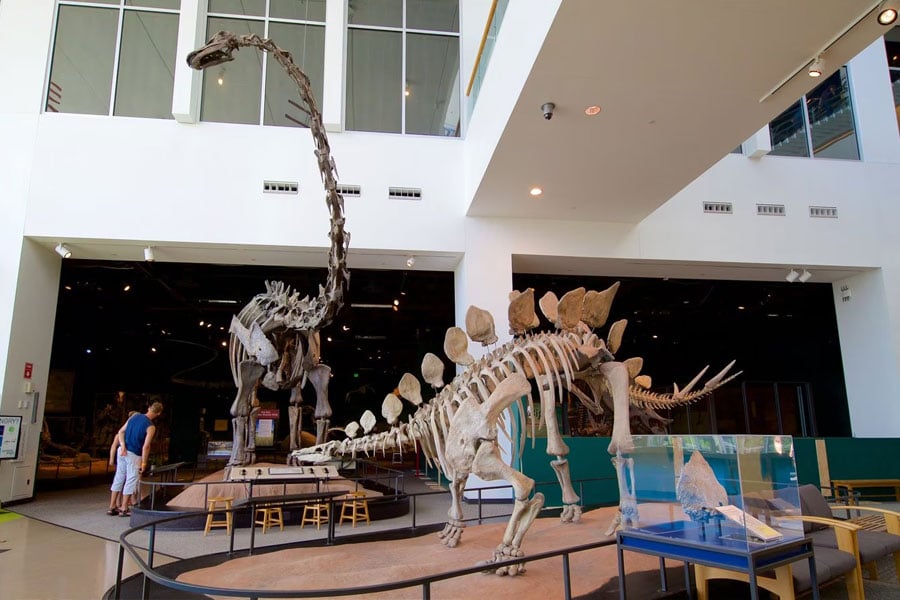 The Science Museum of Minnesota, located in St. Paul, is just one of 64 nonprofit organizations we have committed to supporting.