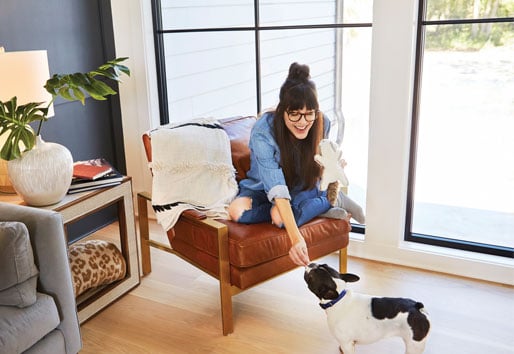 image of andersen windows and dog on couch looking out frame windows