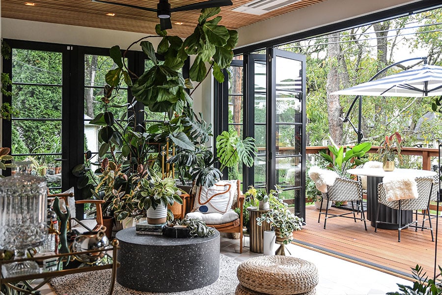 Hilton Carter sunroom with plants and folding black door