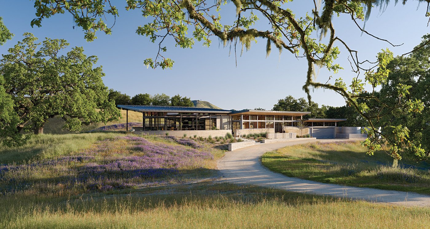 A modern take on the California Ranch set in a field of tall grasses and oak trees.