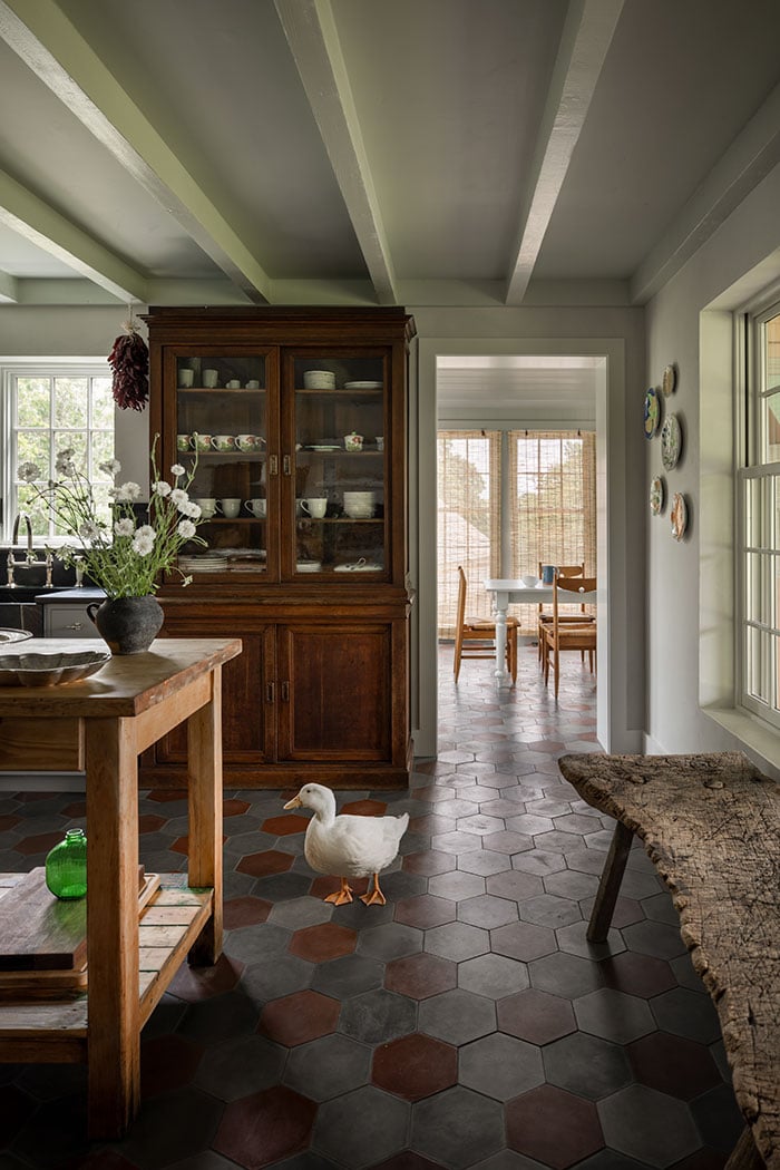 On the left is a sunroom with a wood-paneled cathedral ceiling and a dusty blue monochrome color scheme. On the right is a kitchen with hexagonal floor tiles, an antique wood cabinet and a pet duck.