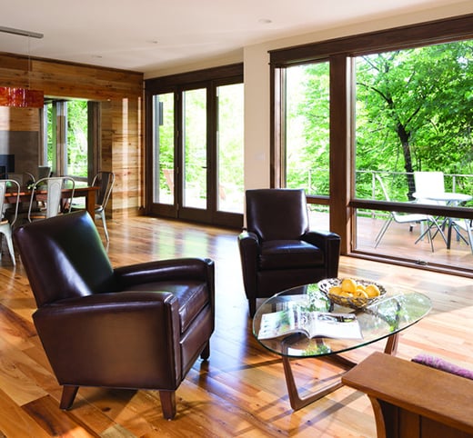 Living Room Windows