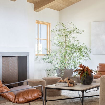 white livingroom with modern fireplace and andersen e series light wood framed windows with panes