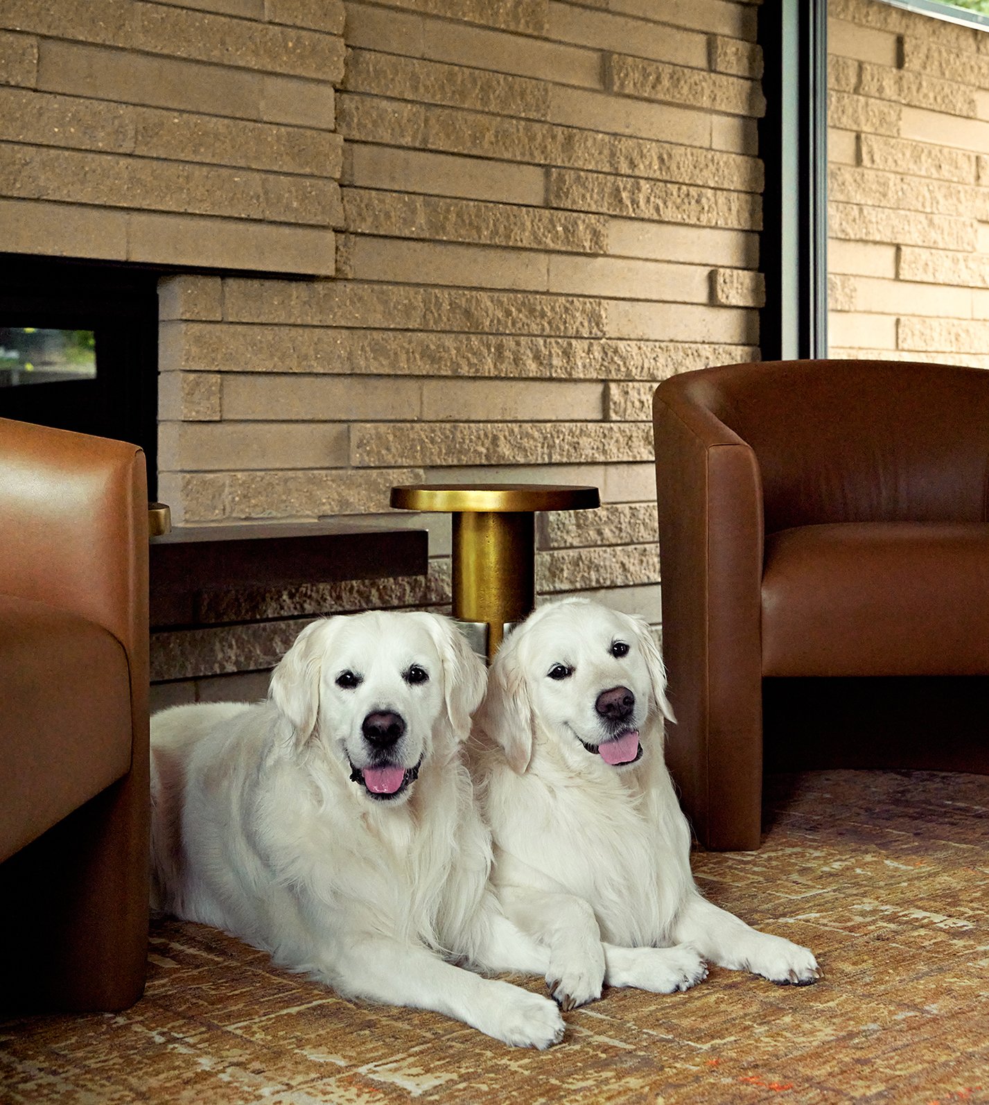 A living room with a floor-to-ceiling window where two white Golden Retrievers lay in front of a fireplace