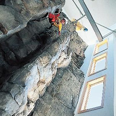 Wolf Ridge Project Showcase