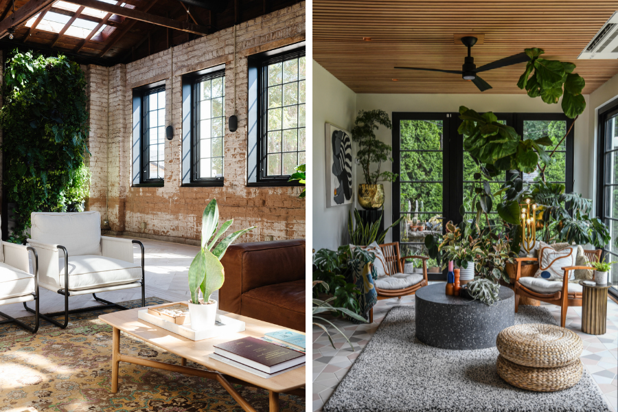Side by side of Hilton Carter and Mandi Gubler plant-filled spaces with bold black windows