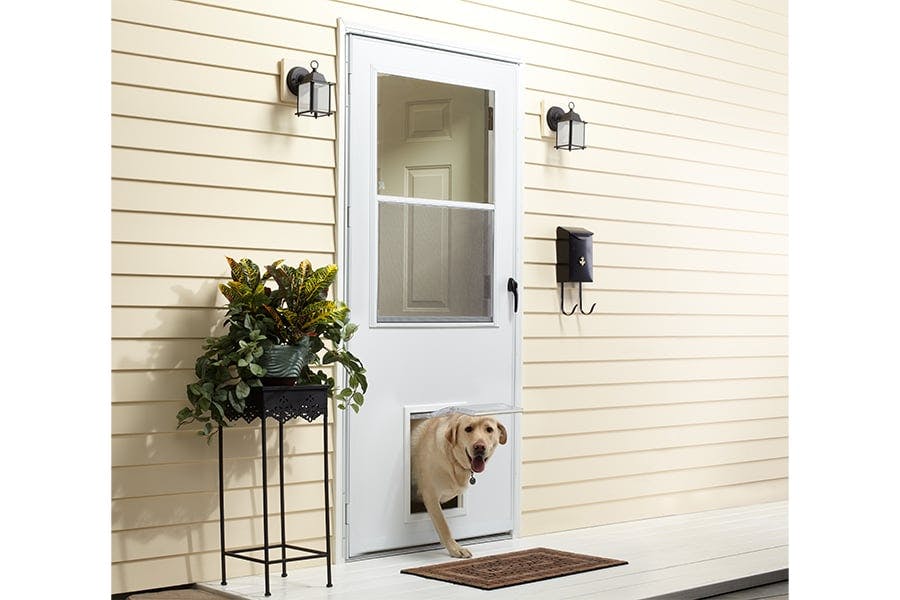 An exterior view of a yellow home with a ½ Light Panel Ventilating Storm Door that includes a large pet door with a yellow lab walking through it.